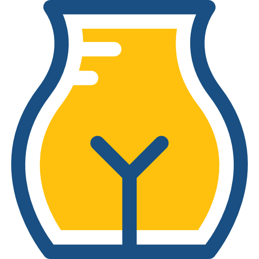 Female organs